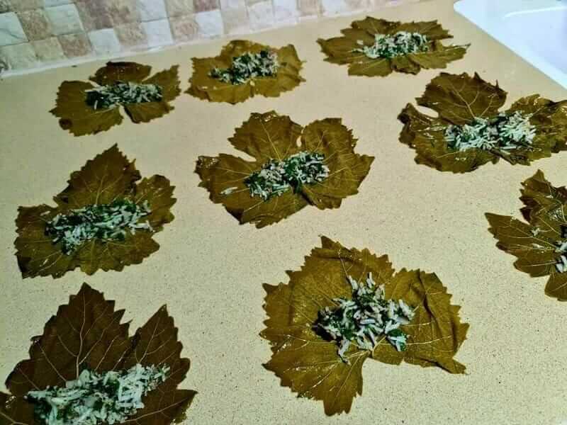 עלי גפן