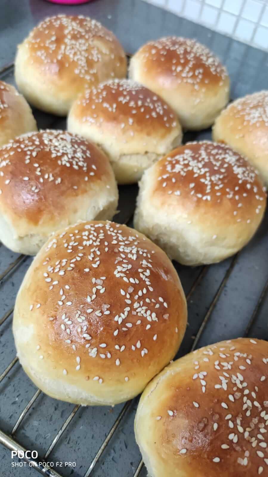 מתכון מושלם לחמניות המבורגר