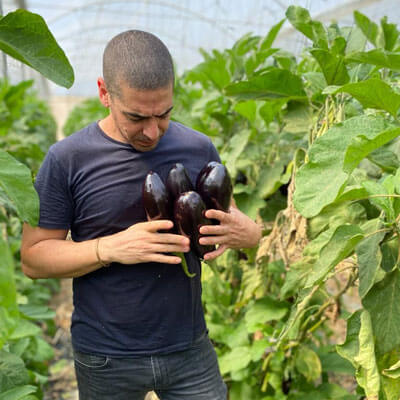 חציל שרוף