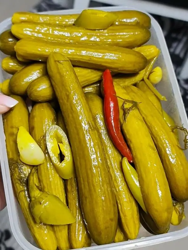 מלפפונים חמוצים מתכון נדיר
