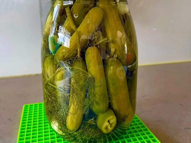 מלפפונים חמוצים של סבתא מתכון קל